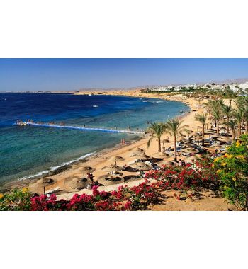 Египет по самым выгодным ценам !